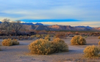 mvt-sunset-ridge-sharpened-master-crop-24x12